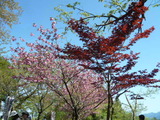 P1060002