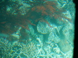 P1160377