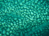 P1160456