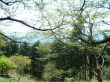 P1050996