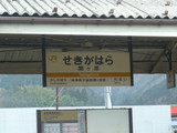 P1010905