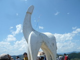 P1050997