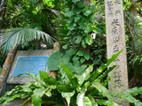 P1160536