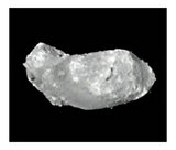 4ec1b6f1.jpg