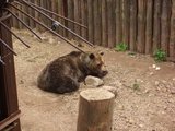 城熊