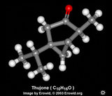 Thujone