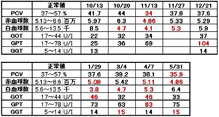 血液検査110531