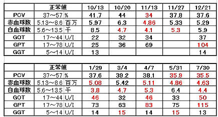 血液検査110730