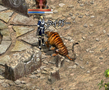 タイガー