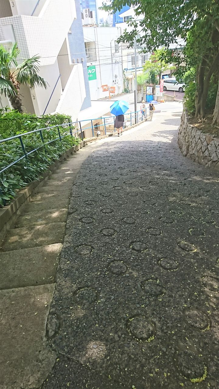 ½ë¤µºäÆ»DSC_0187ÊäÀµºÑ¤ß