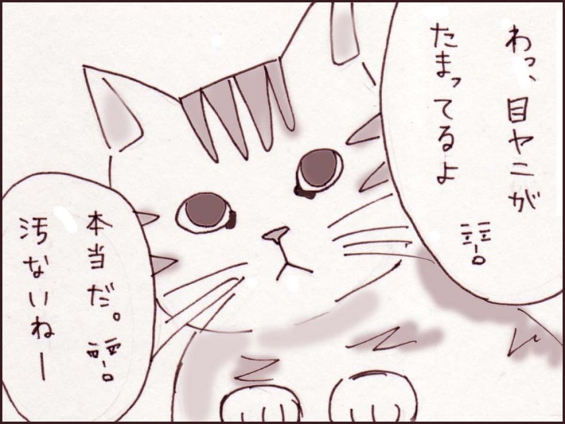 妹ちゃんがプロレスラー-086