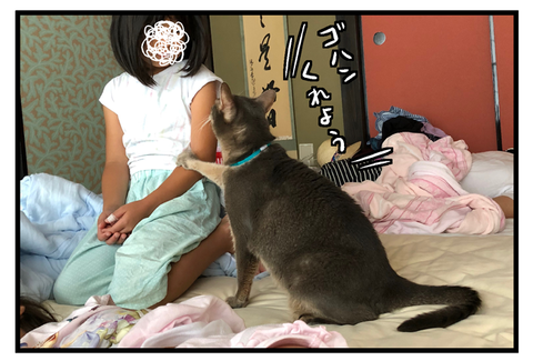 imopuro032_03