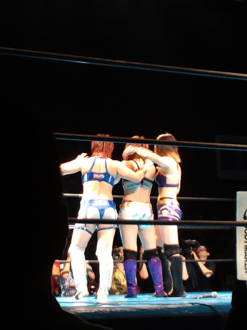 妹ちゃんがプロレスラー-トリプルテイルズ02