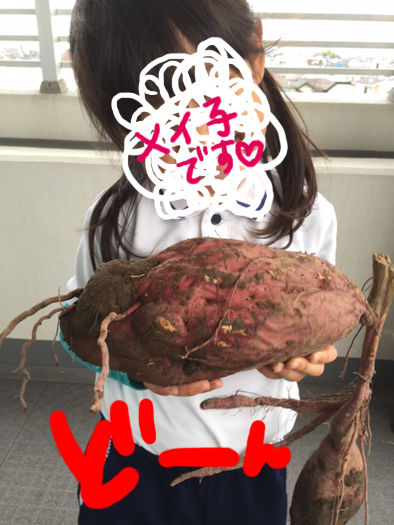 芋掘り02