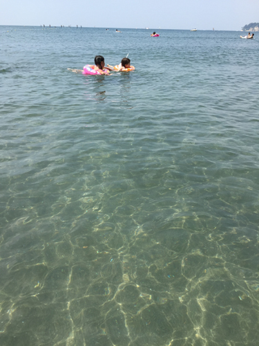 写真01