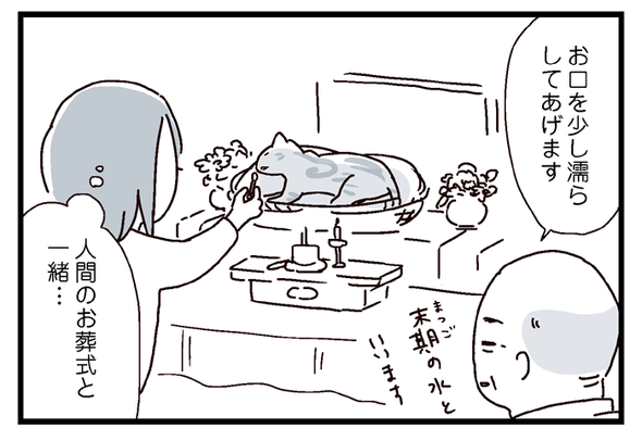 icchomae546_4