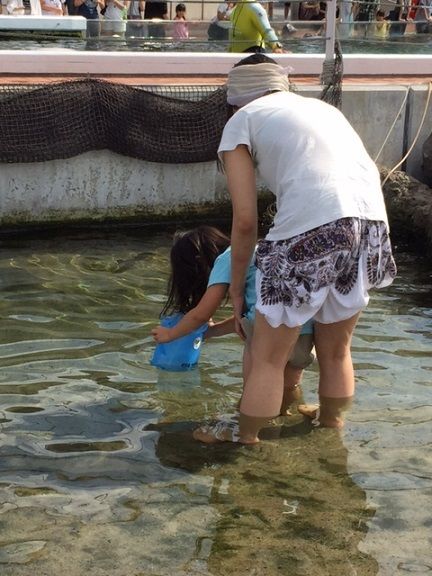 シーパラ09