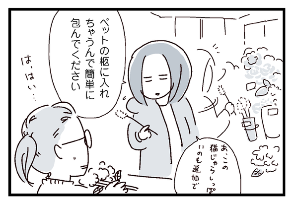icchomae546_2