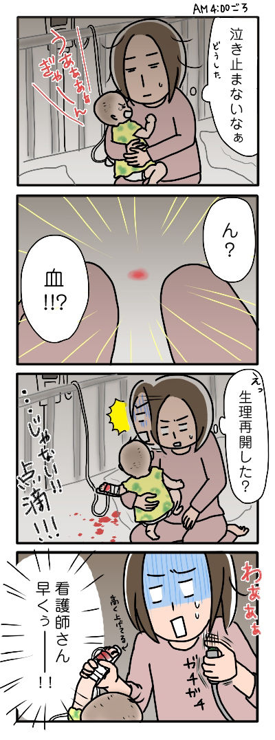 マイちゃん入院その③
