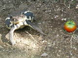 200508020816000.jpg