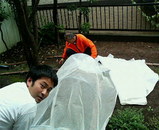 cb59782f.jpg