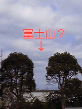 31234179.jpg