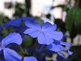 060824