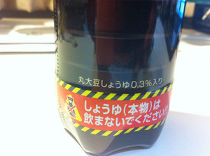 20101220b