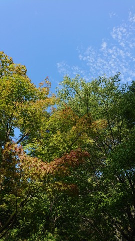 DSC_4325