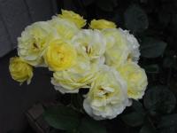 47e625f6.jpg