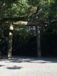 720e74a1.jpg