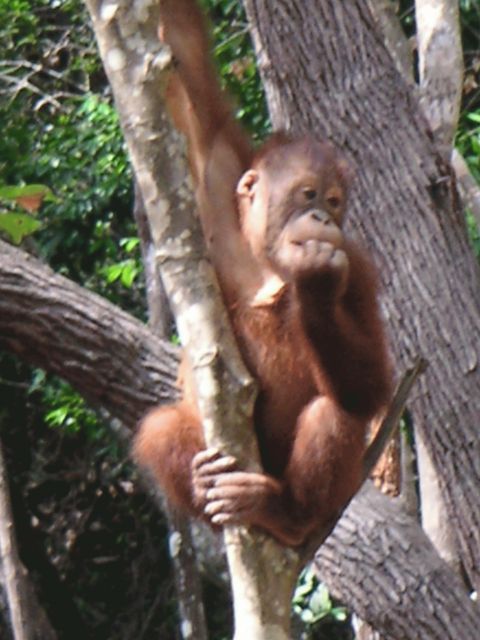 607381682_161.jpg