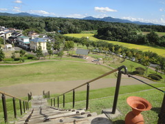 DSC06329