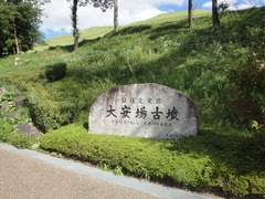 DSC06319