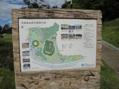 DSC06320