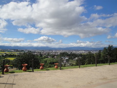 DSC06331