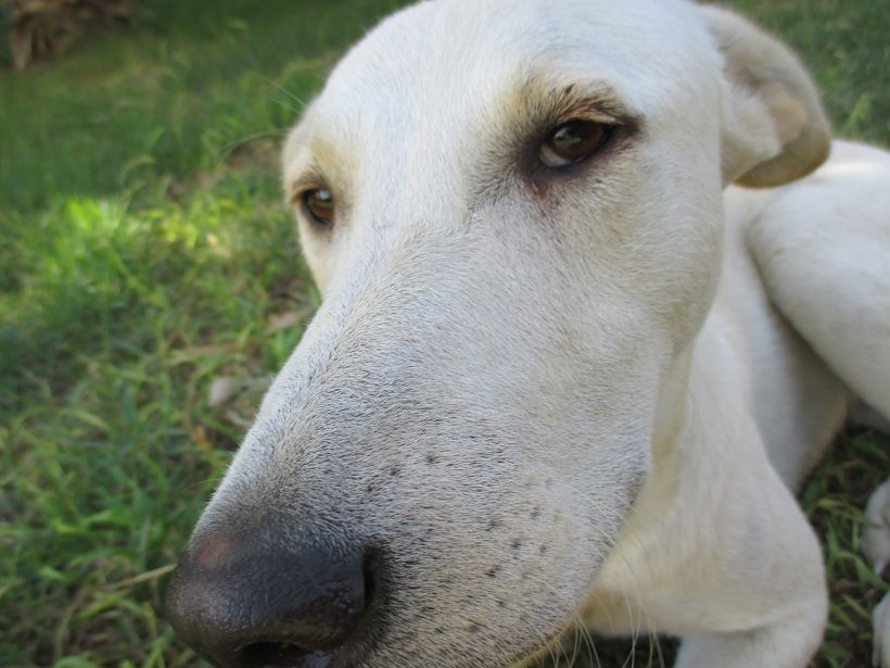 宿泊を伴わない 短期入所 新宿 南口 ホテル ラウンジ