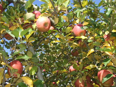 b66288c4.jpg