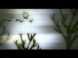 RACHAEL DADD / The Wires 5