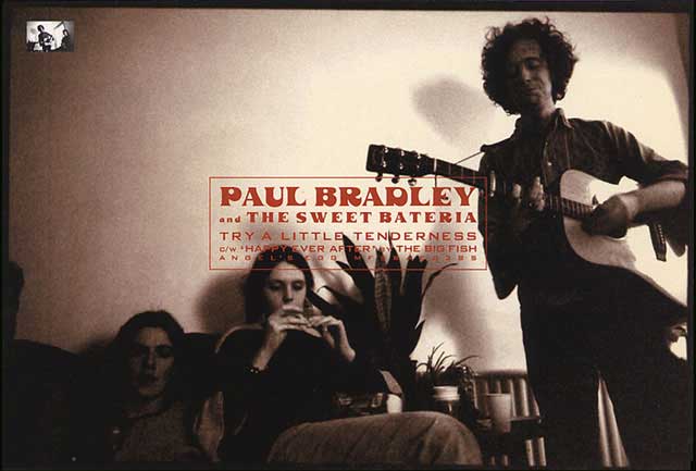 PAUL BRADLEY