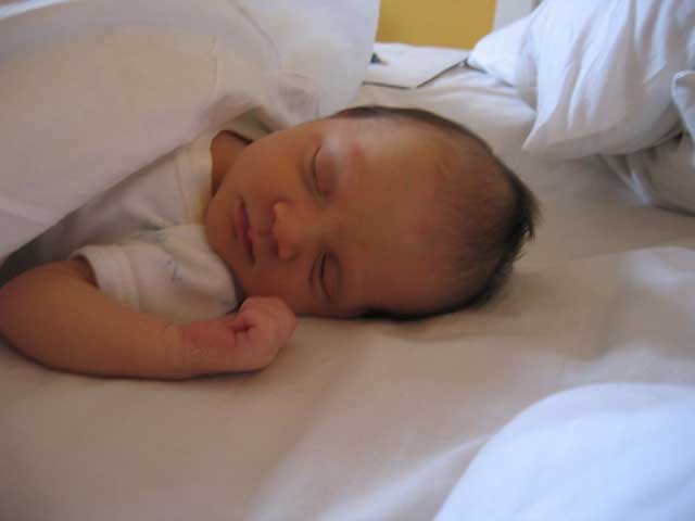 ISOBEL