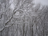 828f7772.JPG