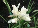 20051108