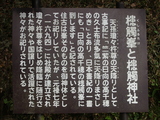 �����դ룳