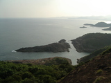 ���륹�γ�