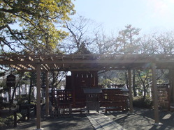 DSCF1681