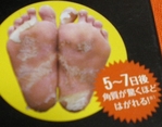 IMGP0030