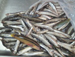 200908151109000