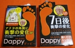 IMGP0029
