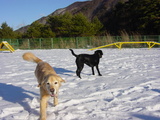 MAX�ȥ쥤��